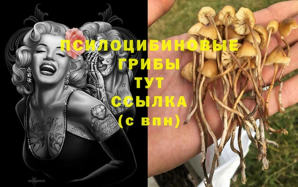 spice Ростов